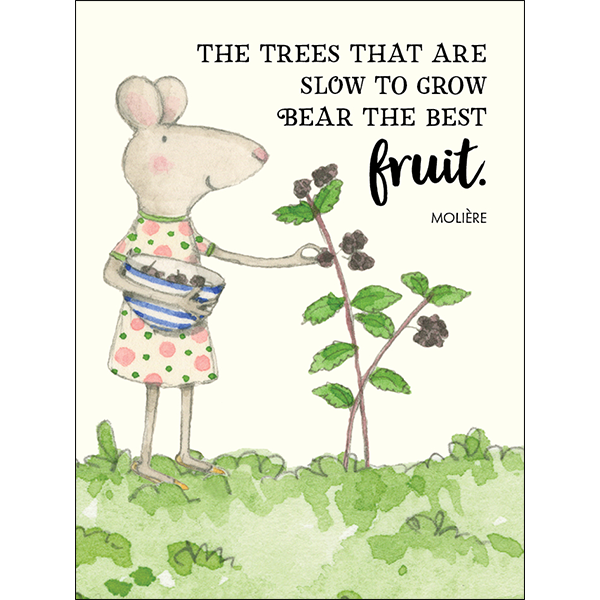 Seeds Of Truth Affirmations Cards