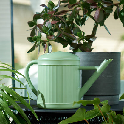 Watering Can Sage 2l